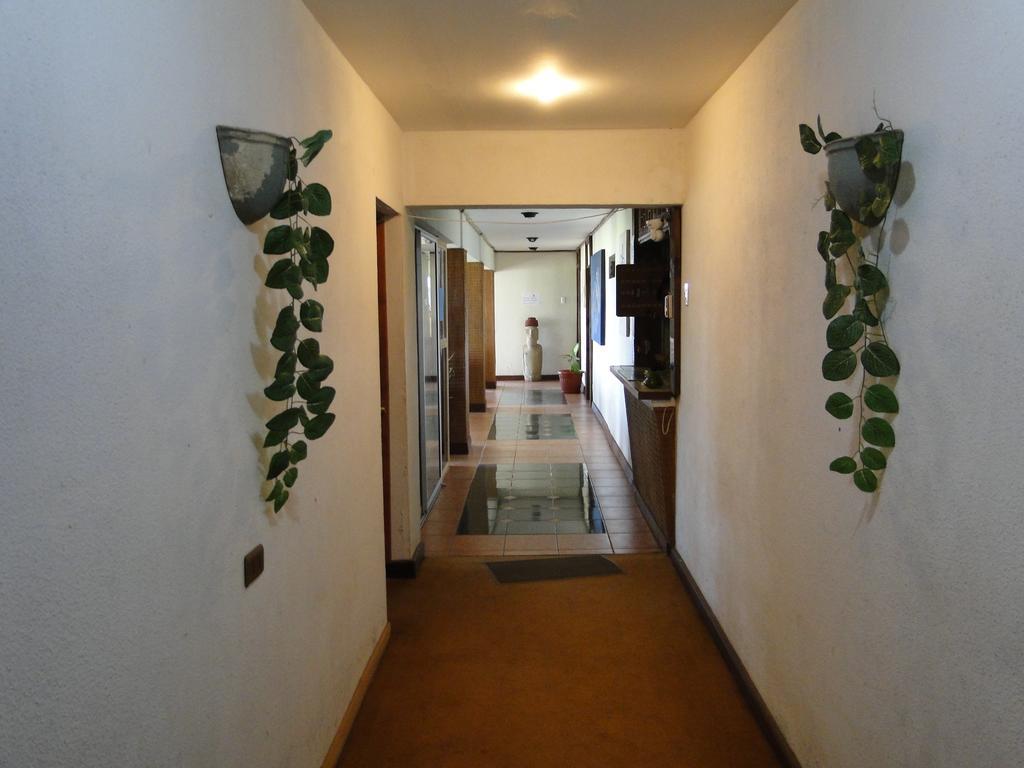 Tupa Hotel Χάνγκα Ρόα Εξωτερικό φωτογραφία